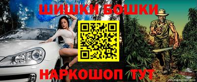 гашик Гатчина