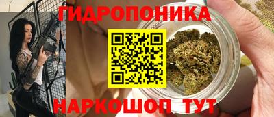 спайс Гусев
